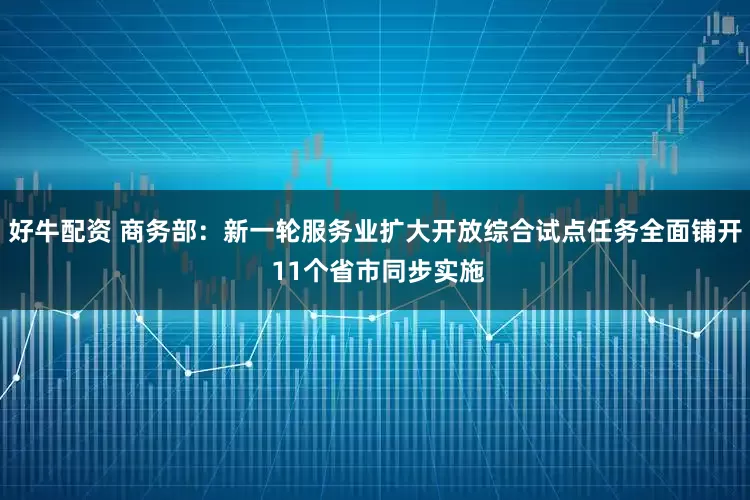 好牛配资 商务部：新一轮服务业扩大开放综合试点任务全面铺开 11个省市同步实施